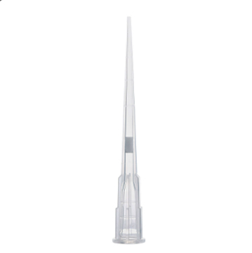 GLO-150903