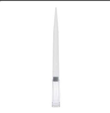 GLO-150938