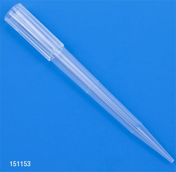 GLO-151153BRS96
